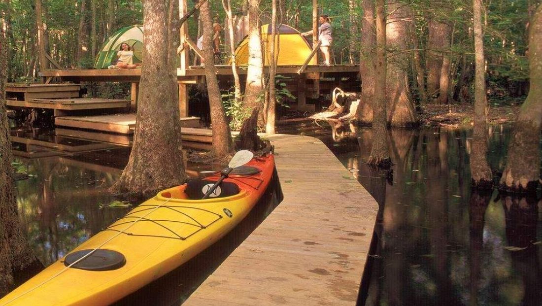 In the Know Roanoke Rapids